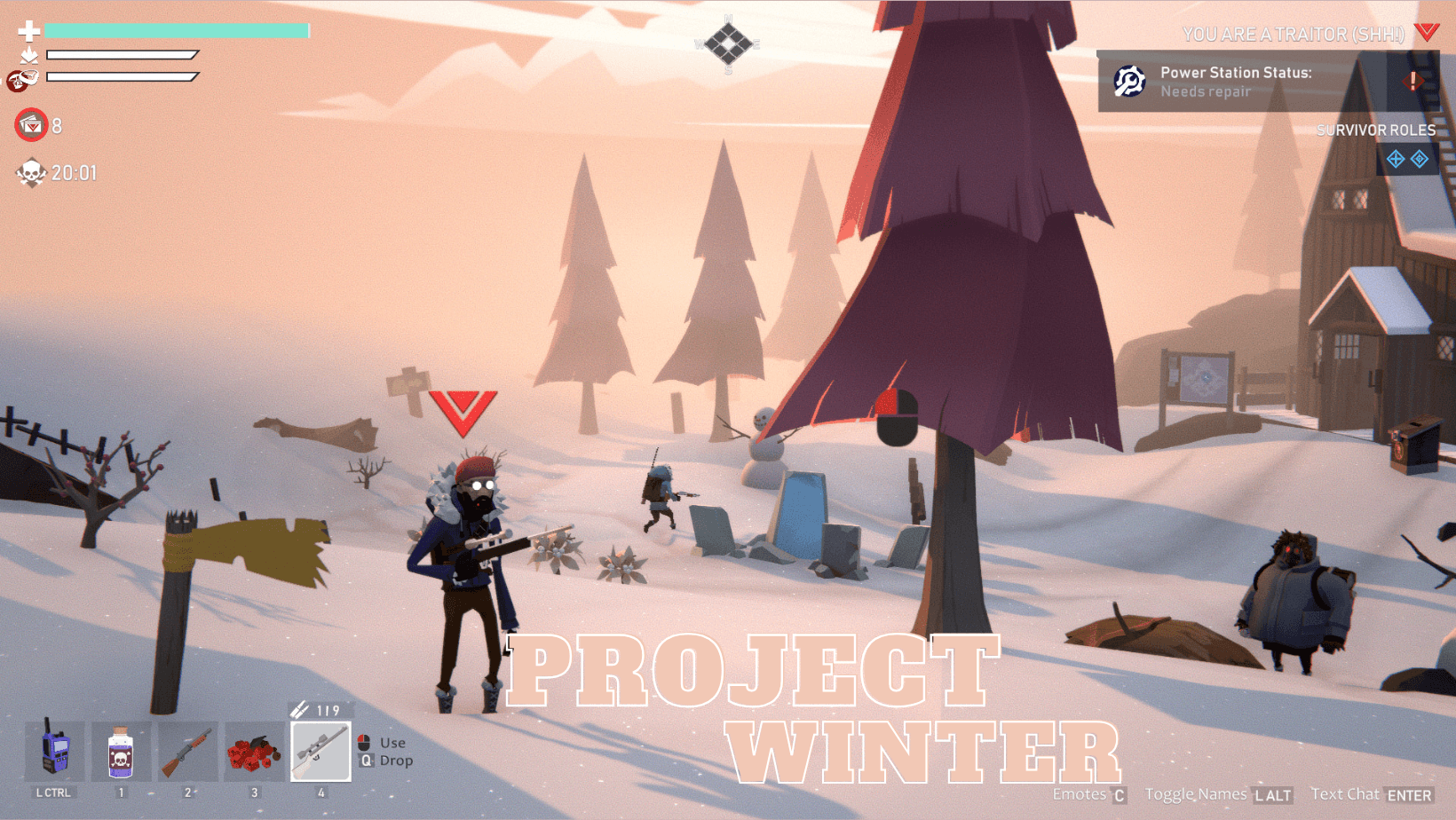 Project-Winter